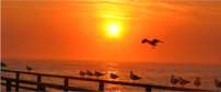 swakopmund sunset over the water 202x84